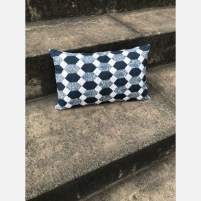 Vesterhavspude, sykit