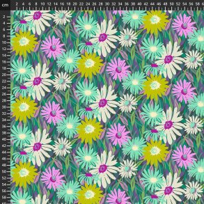 Blomster Daisy Crush